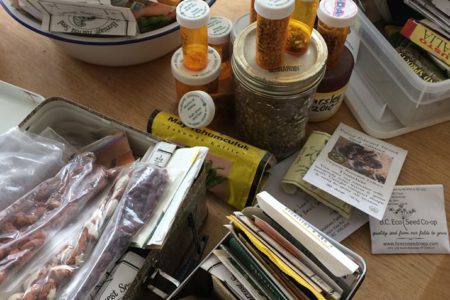 Seed Swap at the Rossland Library