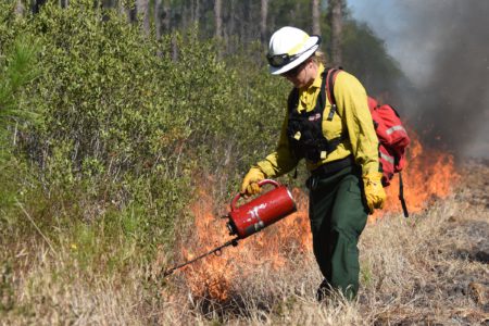 Two prescribed burns slated for this weekend, weather permitting