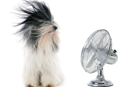 AC/BC: air conditioning use leads to higher summer electricity demand in B.C.