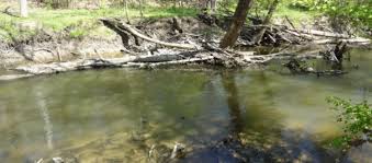 In case of flooding in/around Trail