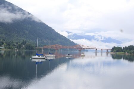 Whirling disease detected in Kootenay Lake trout