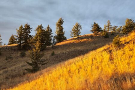 SRRAC Formally Requests Environmental Assessment for Record Ridge Mine