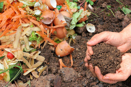 Composting in Bear Country