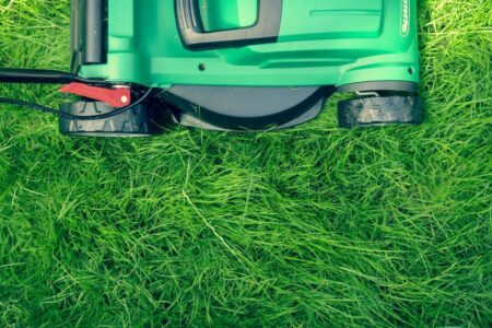 A quarter of Canadians think gas lawn mowers should be banned due to environmental damage