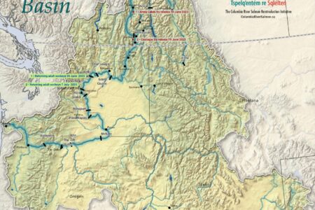 The salmon are coming home: Historic return to the Columbia River