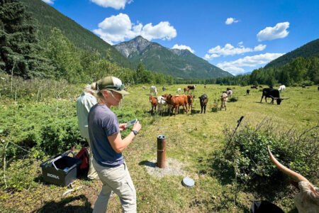 Groundwater Report Flags At-Risk Aquifers, Monitoring Gaps in the Columbia Basin