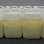 Joint investigation leads to arrests in transnational drug exportation case