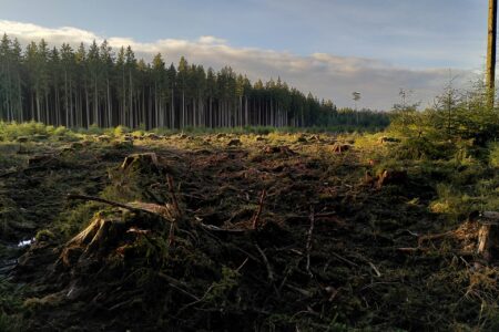 Editorial: Clear-cutting forests, losing water.
