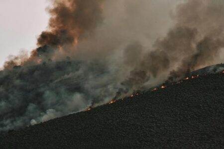 Dementia and wildfires: Planning for summer heat and climate emergencies