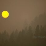 Hot weather could push B.C. to a new summer electricity demand record