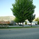 Two proponents advance to design-build proposal stage for Castlegar & District Arena and Walking Track Project